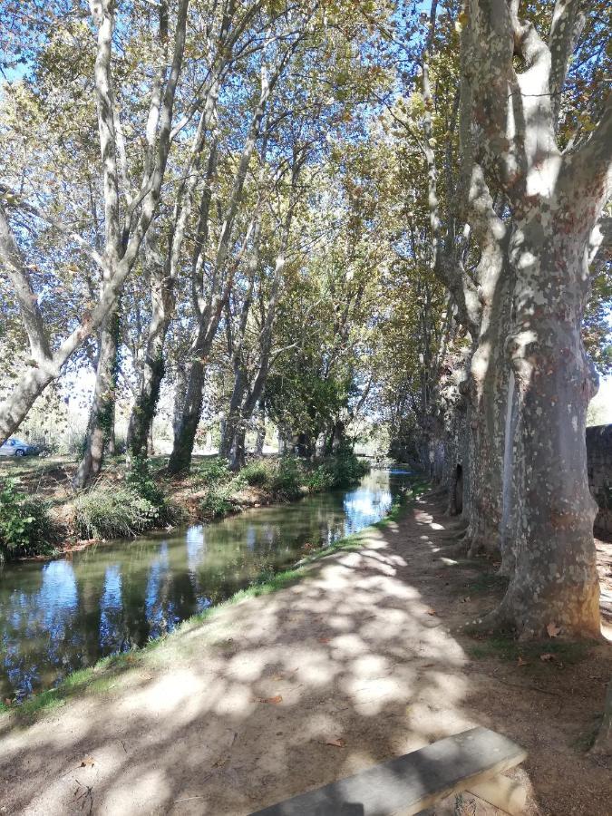 Sous Les Remparts Carcassonne
